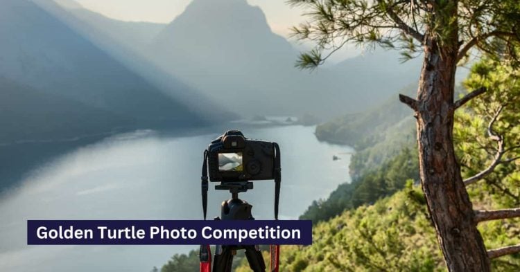 Golden Turtle Photo Competition with prizes