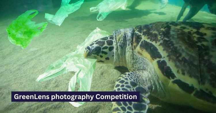 GreenLens photography Competition with prizes